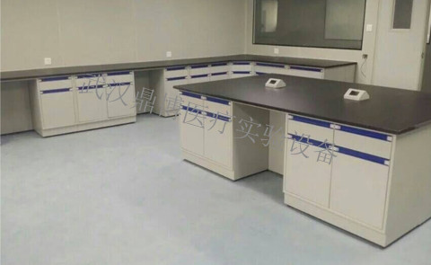 全鋼實驗臺 實芯理化板臺面